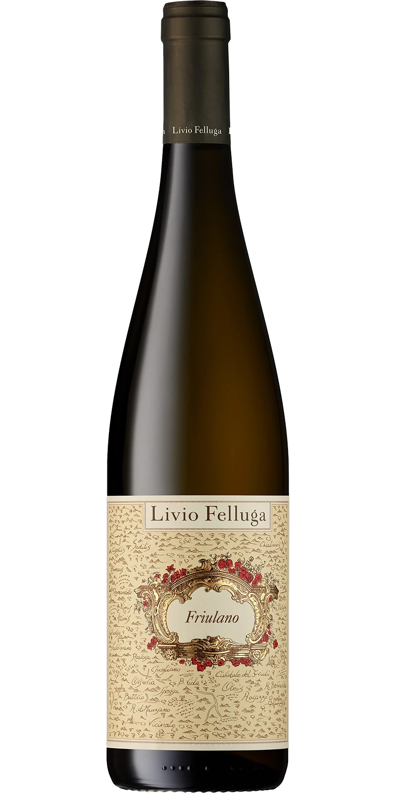 Friulano