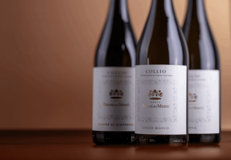 Degustazione Vini in Cantina